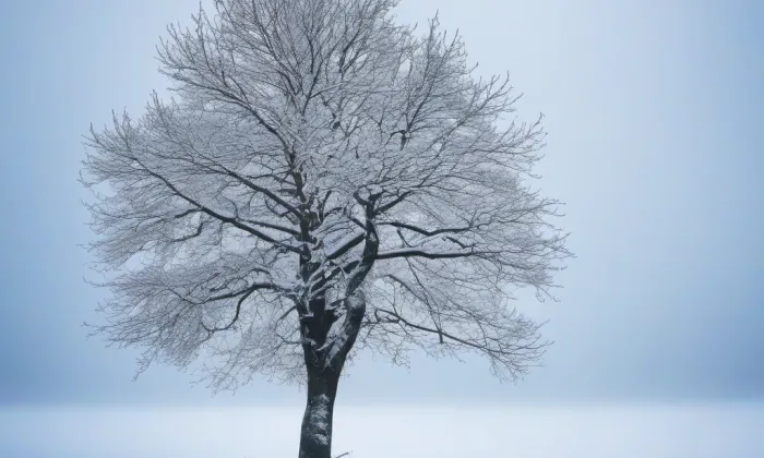Boží hrob u Velenic – winter