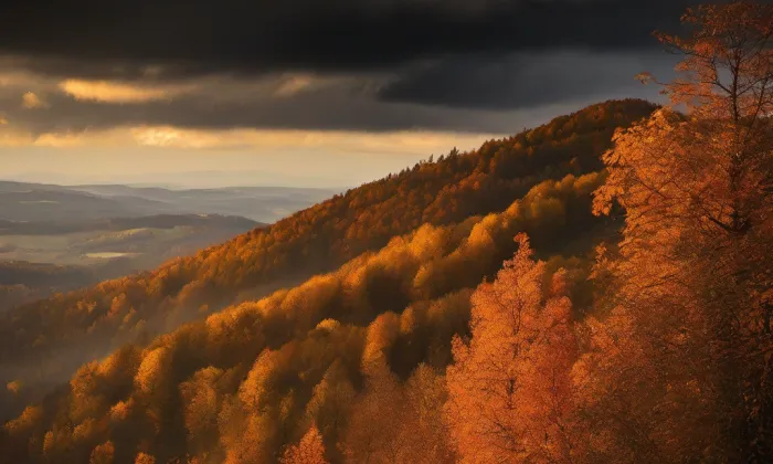 Boskovštejn – autumn