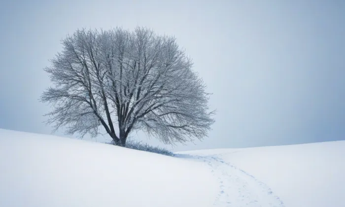 Bouda – winter