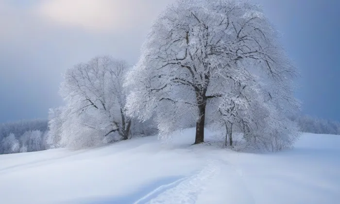 Bražec – winter