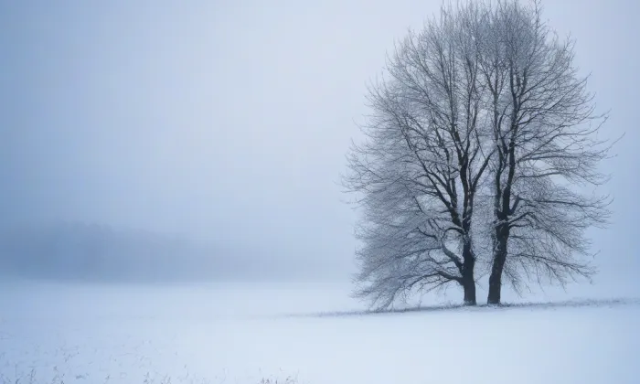 Brozany – winter