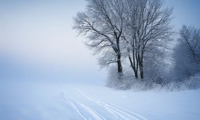 Budova Muzea východních Čech – winter