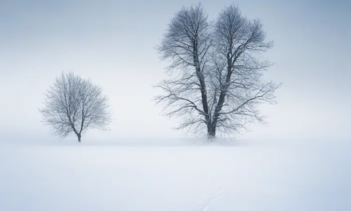 Chcebuz – winter