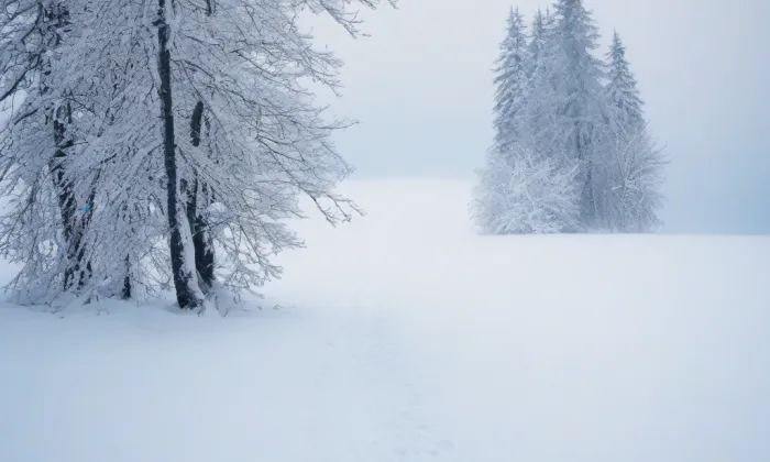 Chotkovy sady – winter