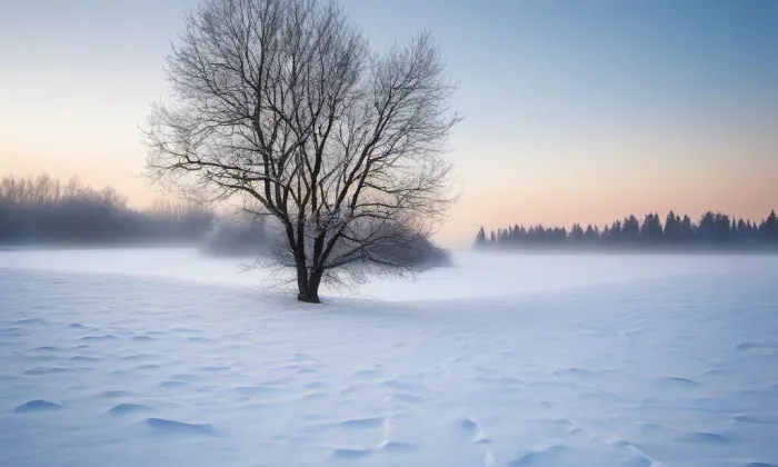 Dělnický dům – winter