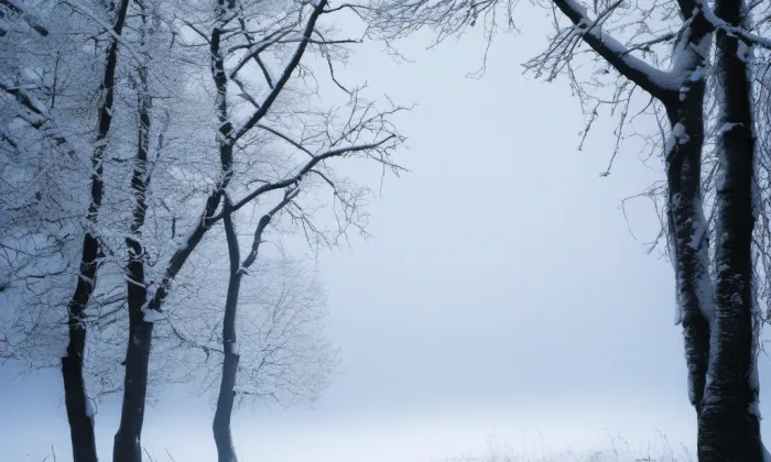 evangelický kostel v Lipové – winter