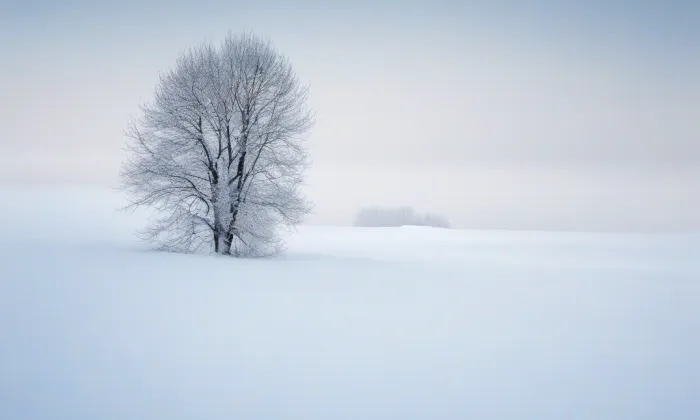 evangelický kostel v Rožnově pod Radhoštěm – winter