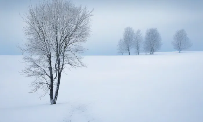 Fíkovna (Lysice) – winter