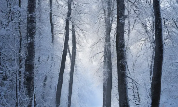 Harrachova cesta – winter
