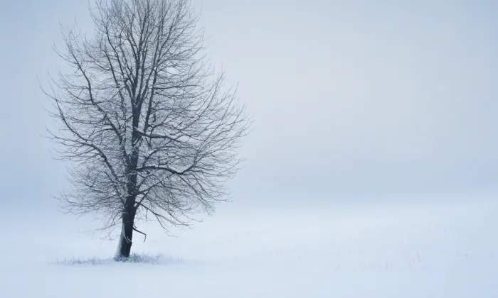 Hládkov – winter