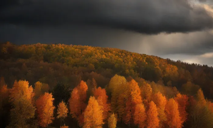 Hloubětín – autumn