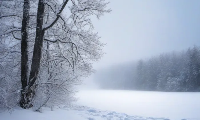 Hukovice (Bartošovice) – winter