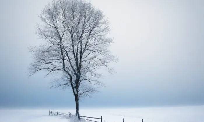 Husův sbor na Smíchově – winter