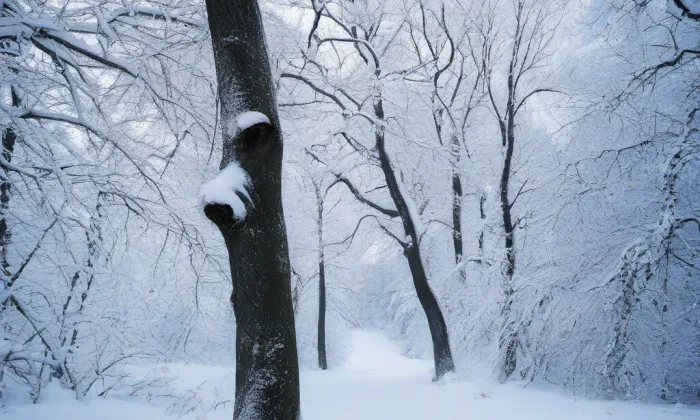 Husův sbor v Úpici – winter