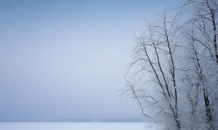 Husův sbor v Dejvicích – winter