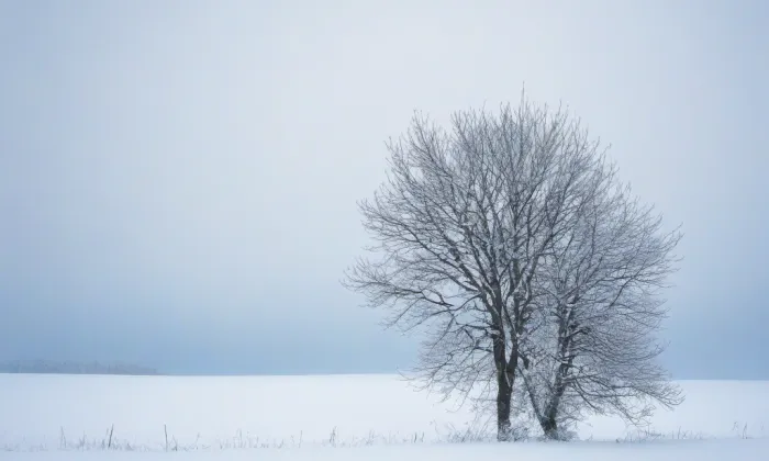 kaple (Drahomyšl) – winter