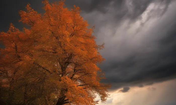 kaple Anděla Strážce (Jílové) – autumn