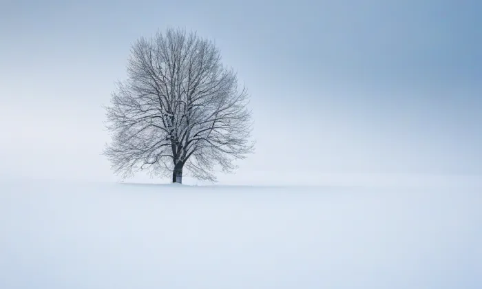 kaple Apoštolů – winter