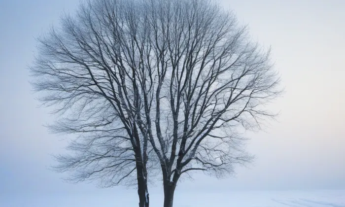 kaple Narození svatého Jana Křtitele (Trávník) – winter