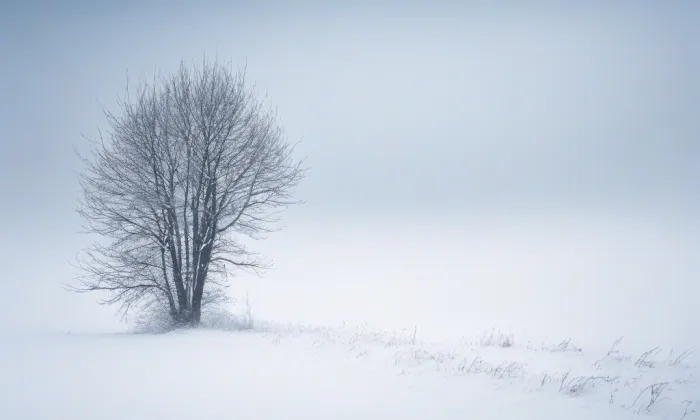 kaple Nejsvětější Trojice (Rozsochatec) – winter