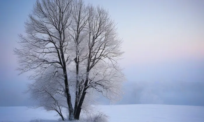 kaple Nejsvětější Trojice (Zahrádky) – winter