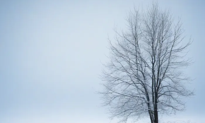 kaple svaté Alžběty (Harrachov) – winter