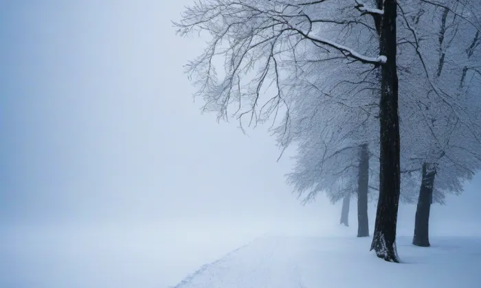 Kaple svaté Rozálie (Chlumec) – winter