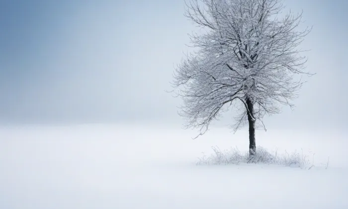 kaple svatého Jakuba apoštola (Doubravice) – winter