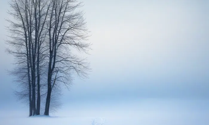 kaple svatého Petra a Pavla (Bílý Kámen) – winter