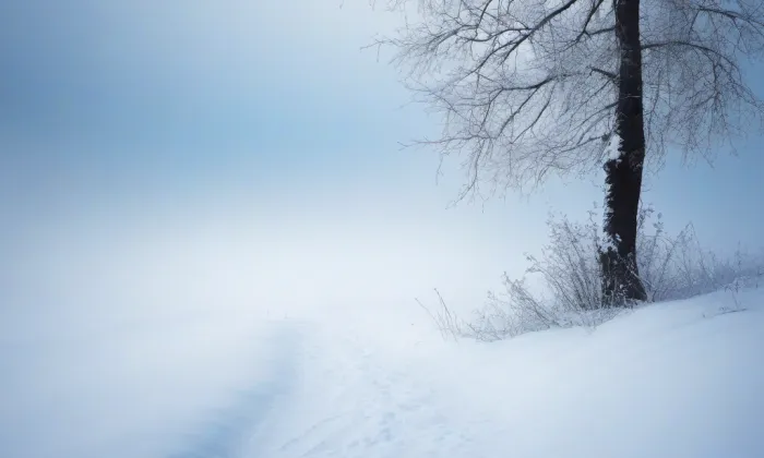 kaple v Domažličkách – winter