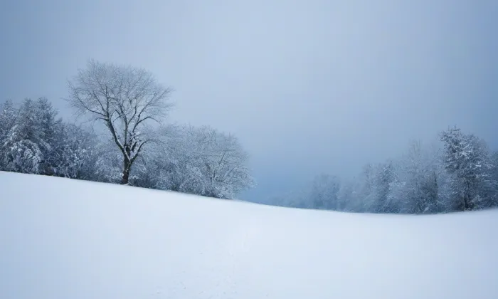 Kaplička Panny Marie – winter
