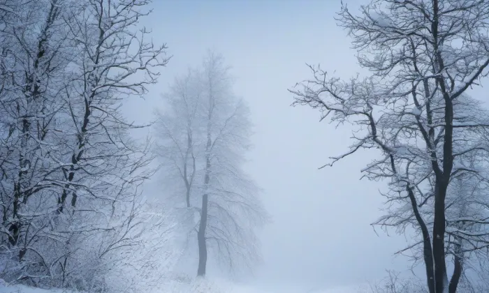 Karoliny Světlé – winter