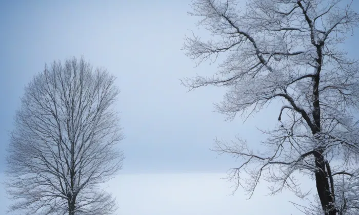 Klášter dominikánů v Litoměřicích – winter