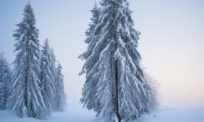 Klášter irských františkánů – winter