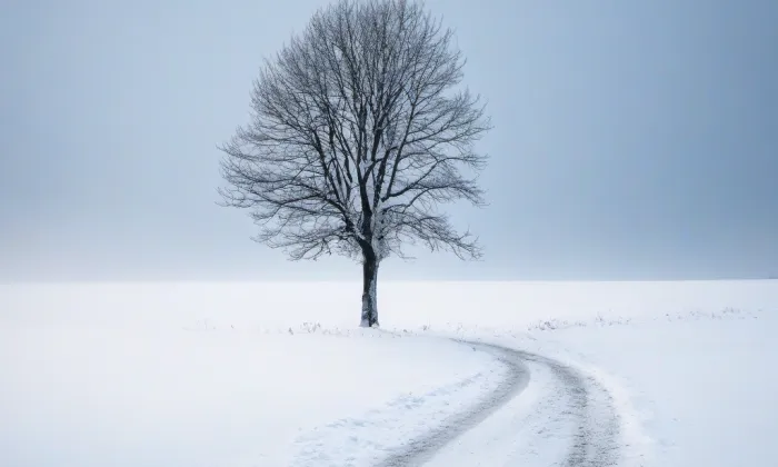 Klášter křižovníků (Ústí nad Labem) – winter