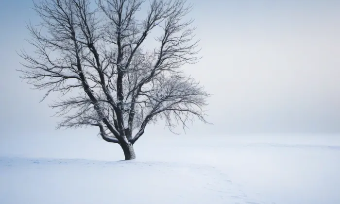 klášter klarisek v Olomouci – winter