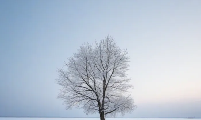 Klášter klarisek ve Znojmě – winter
