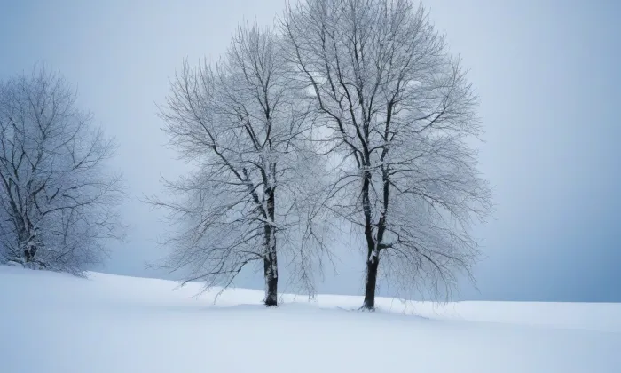 Klášter minoritů na Starém Městě v Praze – winter