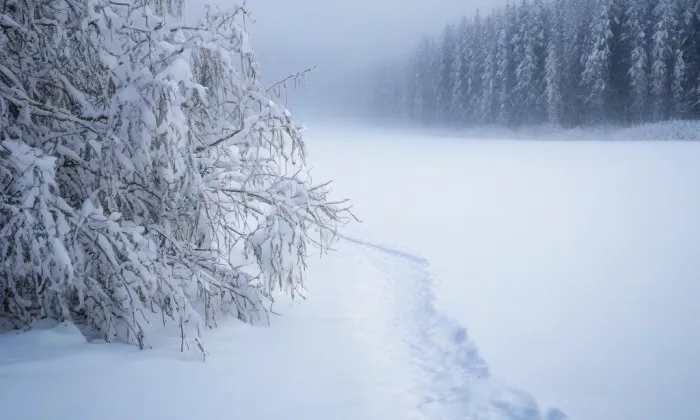 klášter minoritů v Mladé Boleslavi – winter