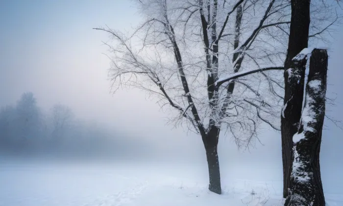 Klášter piaristů – winter