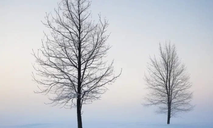 Klášter voršilek v Praze – winter