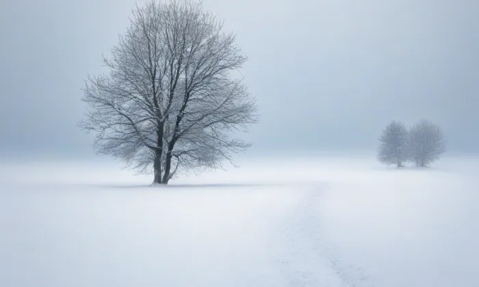 kostel Nanebevzetí Panny Marie (Mladá Vožice) – winter
