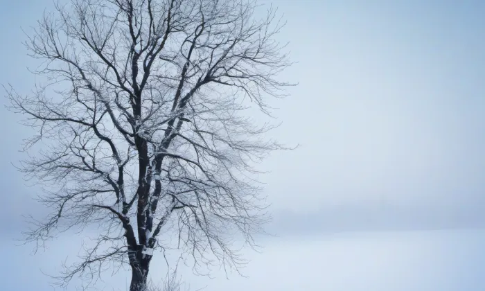 Kostel Nanebevzetí Panny Marie (Mostkovice) – winter