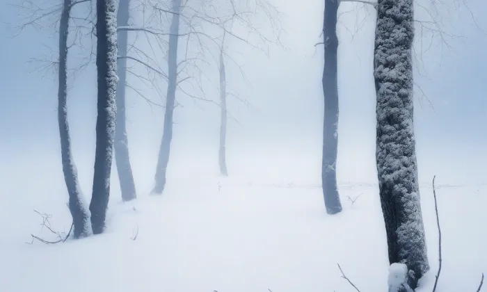 kostel Navštívení Panny Marie (Jednov) – winter