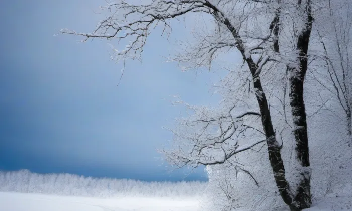 Kostel Nejsvětější Trojice (Křemešník) – winter