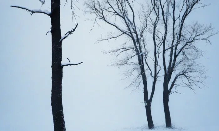 Kostel Panny Marie Pomocné (Železná Ruda) – winter