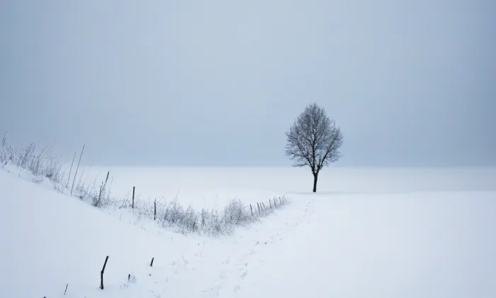 kostel svaté Barbory (Příseka) – winter