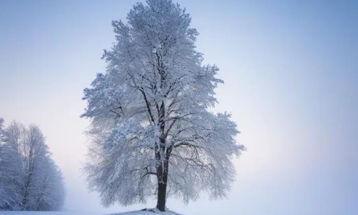 Kostel svaté Kateřiny (Chbany) – winter