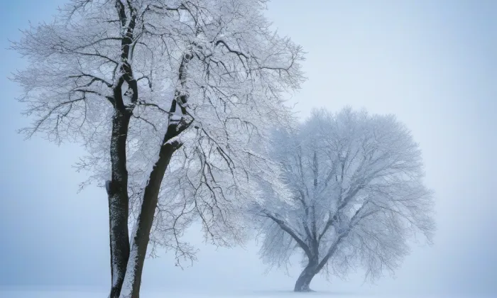 Kostel svaté Máří Magdaleny (Arnoltice) – winter