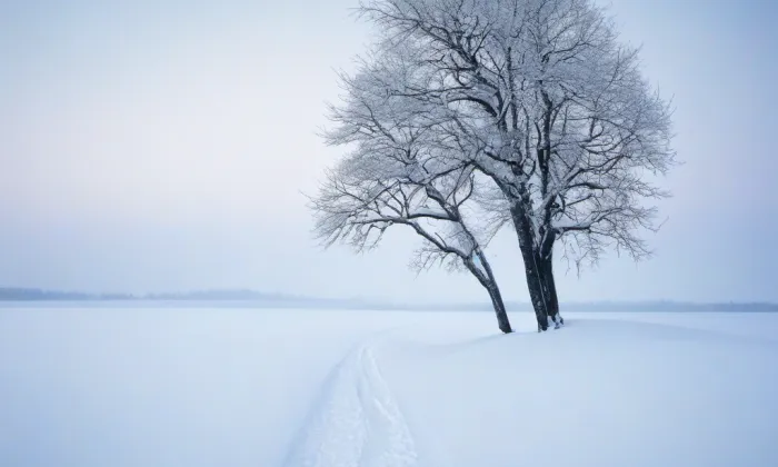 Kostel svaté Markéty (Břežany) – winter